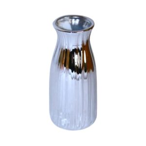 9123456233004 Silver