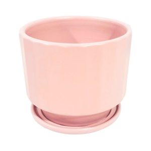 9123452404989 Pink