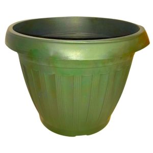 885490524843 Green