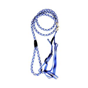 795229256955 Blue