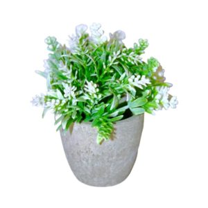 858374011241 White