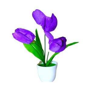 018068121148 Purple