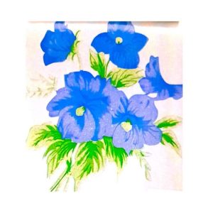 067-02