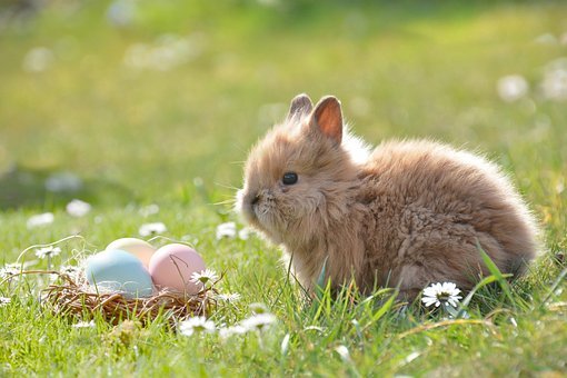 Easter