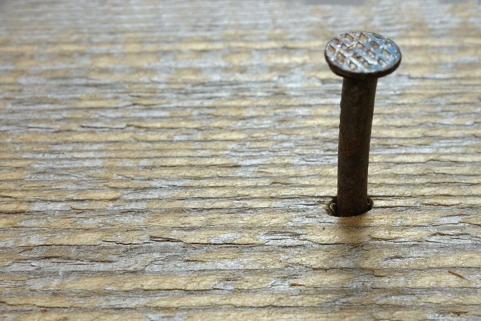 Nails / Dry Wall Screws
