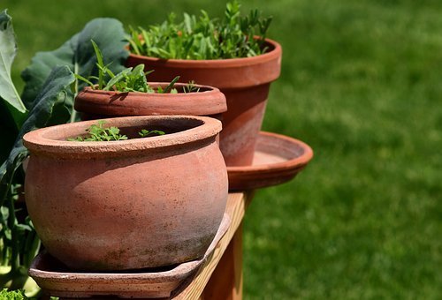 Gardening