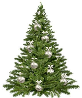 Christmas Trees