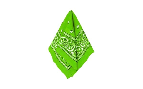 20.5" x 20.5" Bandana - Image 12