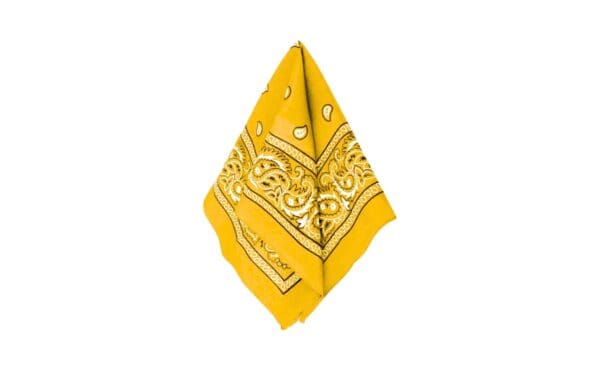 20.5" x 20.5" Bandana - Image 3