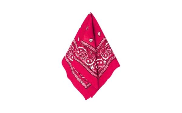 20.5" x 20.5" Bandana - Image 17