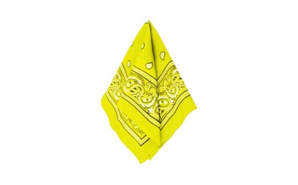 20.5" x 20.5" Bandana - Image 9