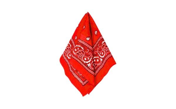 20.5" x 20.5" Bandana - Image 2