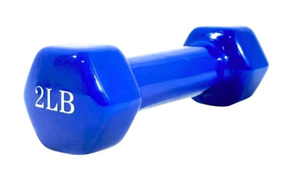 2lb Rubber Coated Dumbbell (Blue)