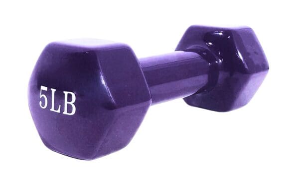 5lb Rubber Coated Dumbbell (Purple)