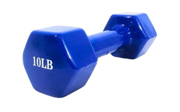 10lb Rubber Coated Dumbbell (Blue)