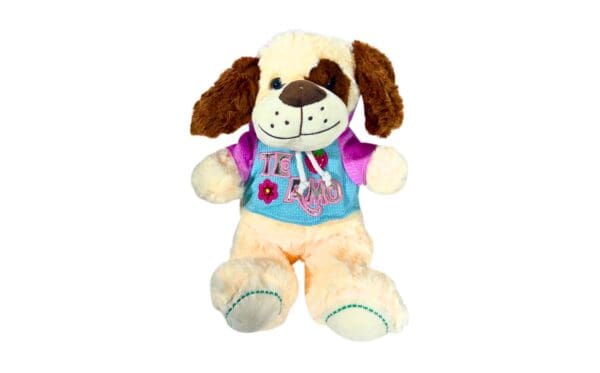 11" (28cm) Plush Dog w/ Hoodie 'Te Amo'