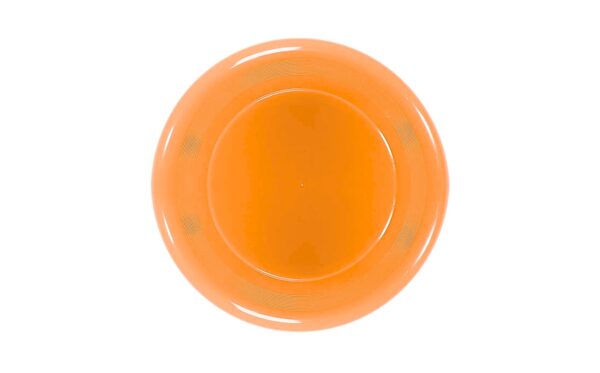 9.25" Plastic Flying Disc - Image 3