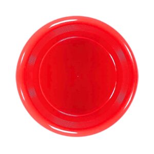 9.25" Plastic Flying Disc