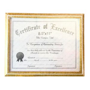 8.5" x 11" Gold Certificate Frame w/ White Trim