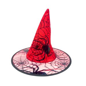 Spider Designs Witch Hat