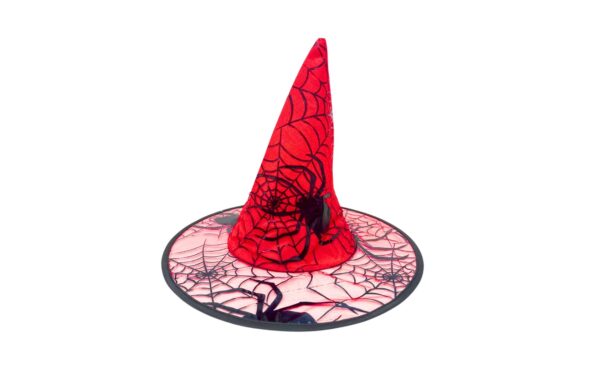 Spider Designs Witch Hat