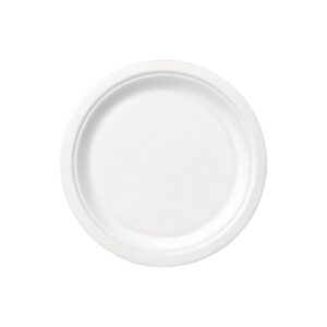 10pk 6.75" Plain Paper Plates