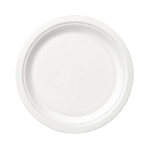 10pk 8.75" Plain Paper Plates