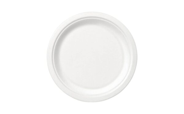 10pk 8.75" Plain Paper Plates