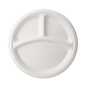 10" 3 Compartment Paper Plates