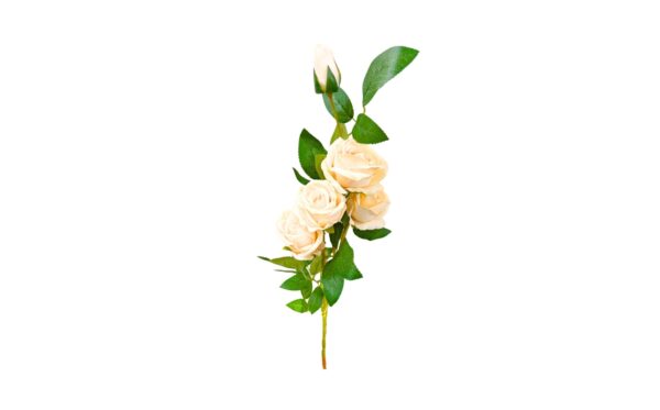 4 Head Rose on 29" Stem - Image 4