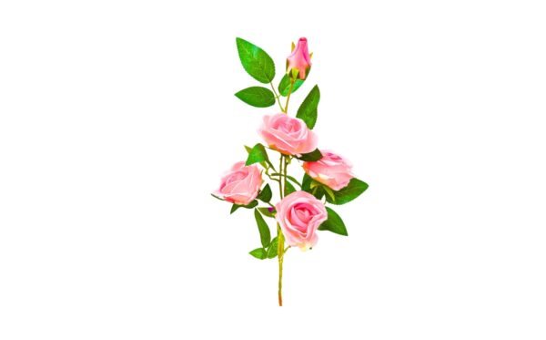 4 Head Rose on 29" Stem - Image 3