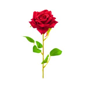 8.5cm Red Velvet Rose on 68cm Stem