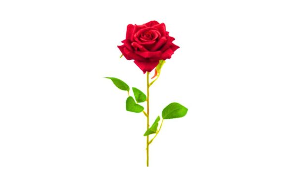8.5cm Red Velvet Rose on 68cm Stem