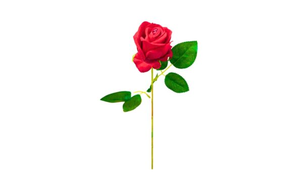 7cm Red Velvet Rose on 50cm Stem