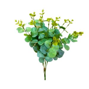 16 Stem Leaves