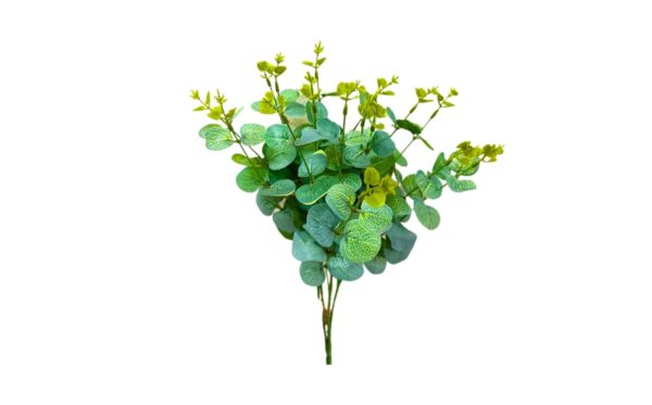 16 Stem Leaves