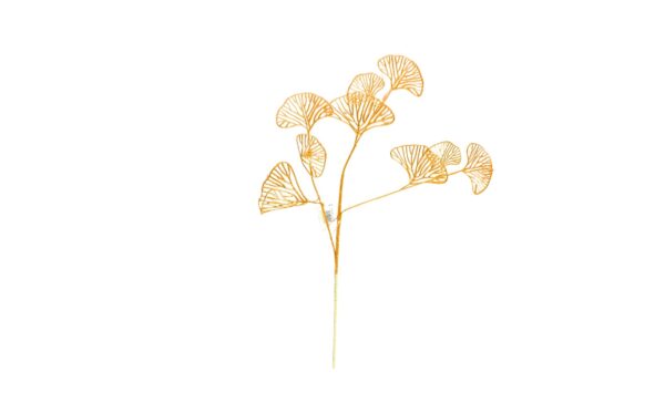 26" Long 3 Stem Gold Fern 'Fan Coral'