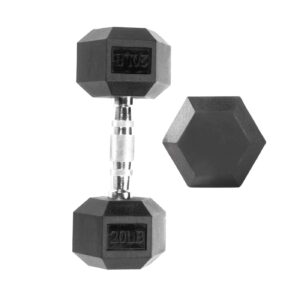 20lb Rubber Coated Hexagonal Dumbbell