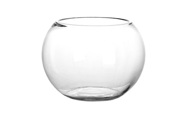 9.5" x 8" Fish Bowl Glass Vase