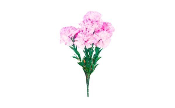 7 Head Carnations on 16" Stem - Image 7