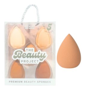 5pc Blending Sponge
