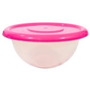 9.75" Clear Round Plastic Container w/ Colored Lid