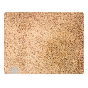 18" x 13" Bounded Carpet Mat