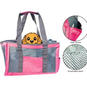16.5" x 10" x 7" Pet Carry Bag