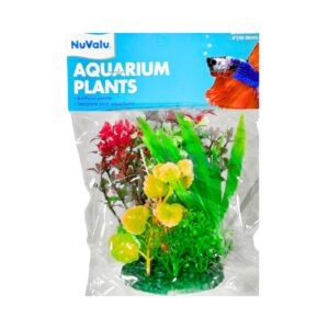 4" Mixed Aquarium Plant 'Nuvalu'
