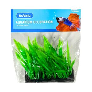 4" Green Aquarium Plant 'Nuvalu'