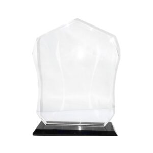 5 1/2" x 7" Glass Plaque on Black Stand in Blue Case