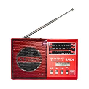AM/FM Radio w/ Light & Built-In Lithium Battery & Regular Battery Capability 'H-324URT'