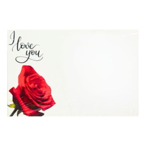 50pk Gift Cards 'I Love You'