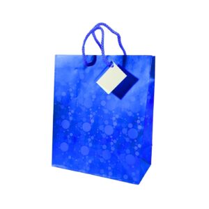 7" x 9" x 3 7/8" Medium Premium Hologram Gift Bags